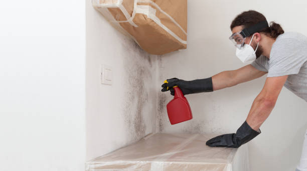 Professional Attic Mold Remediation technician working in Belle Mead, NJ
