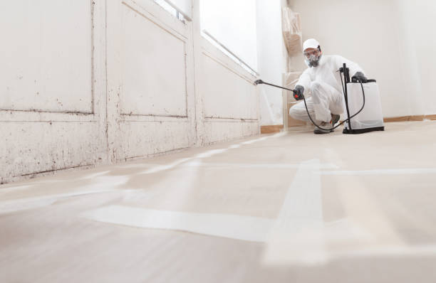 24/7 Emergency Attic Mold Remediation experts in Belle Mead, NJ